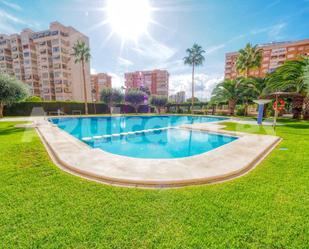 Swimming pool of Flat to rent in Alicante / Alacant  with Air Conditioner and Terrace