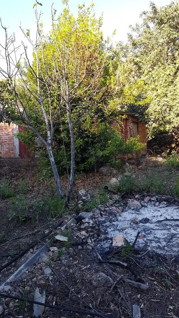 Casa rústica en venda a Comares, imagen 12