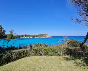 Garden of Land for sale in Capdepera