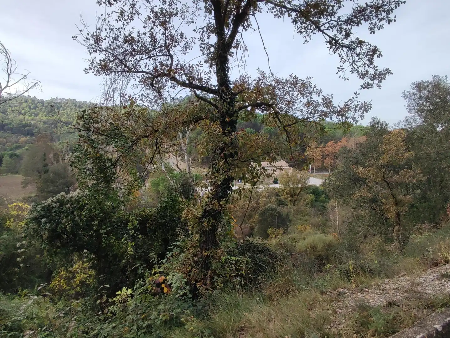Terrain rustique à vendre à Monistrol de Calders, imagen 26