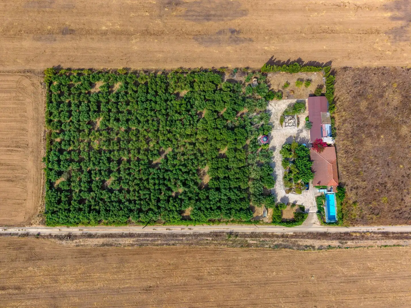 Finca rústica en venda a Polígono 8 Parcela 28, Poble