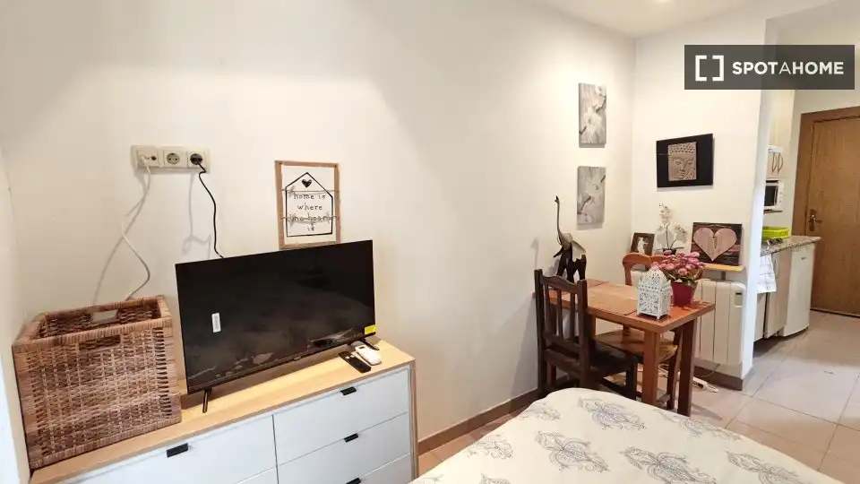Sala de estar de Piso de alquiler en Madrid con Aire acondicionado, Calefacción y Amueblado