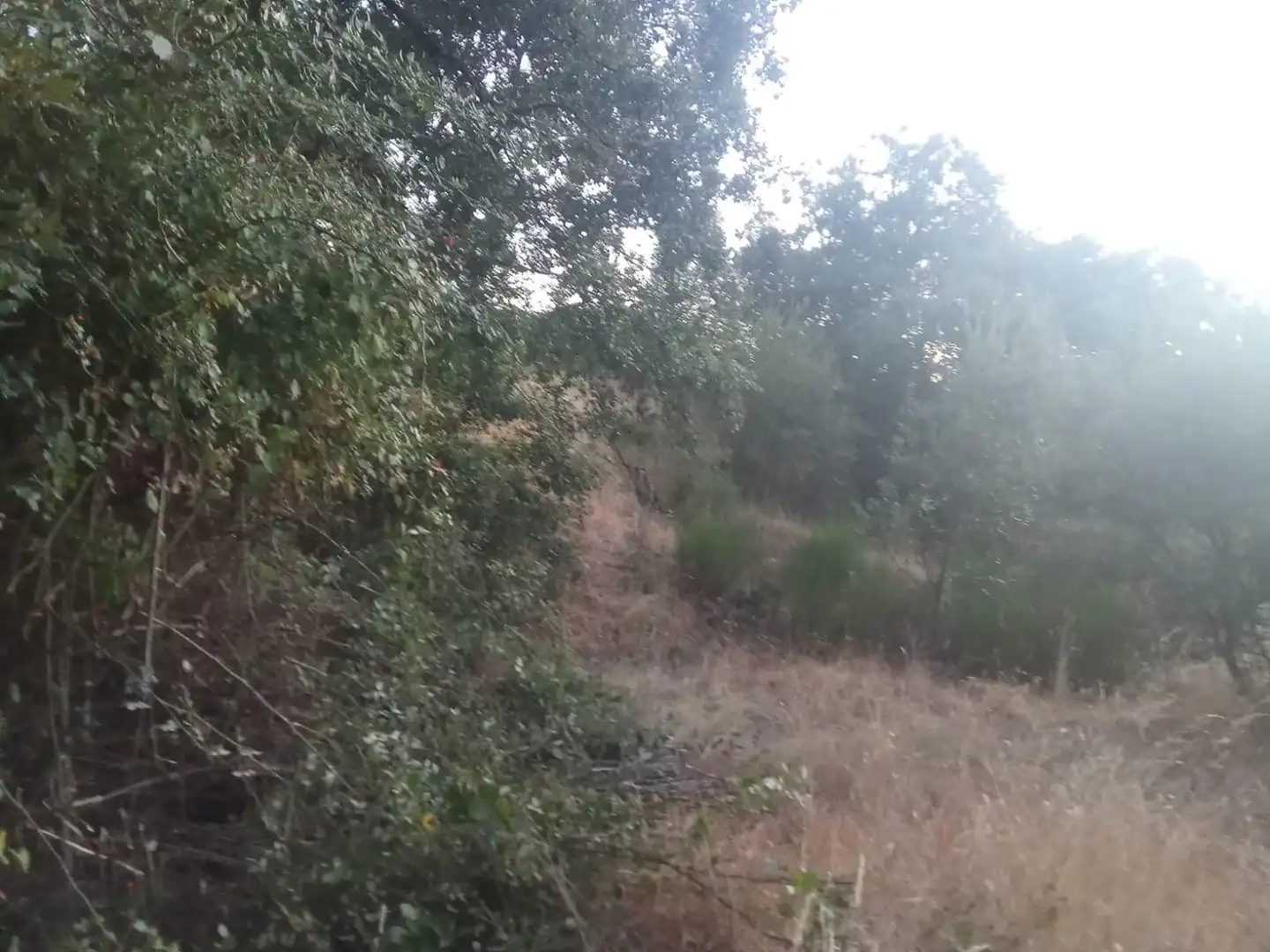 Residential land for sale in Valdenuño Fernández, imagen 14