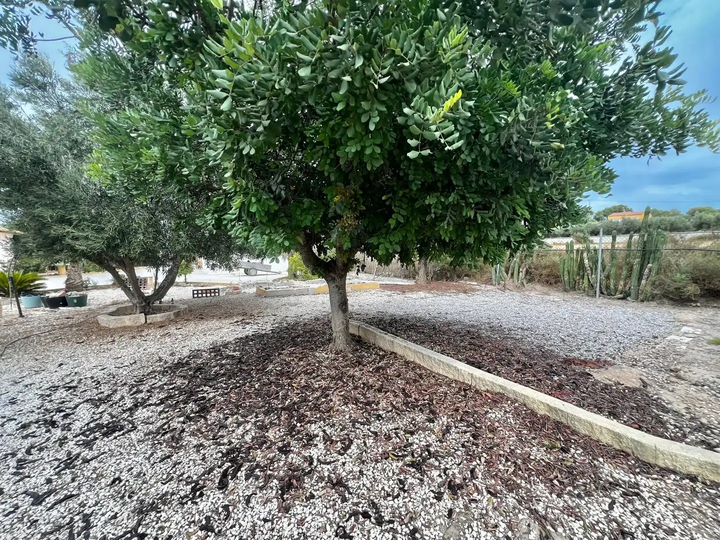 Country homes for sale in Elche / Elx  with Swimming Pool