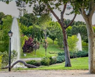 Jardí de Pis en venda en  Madrid Capital amb Terrassa i Balcó