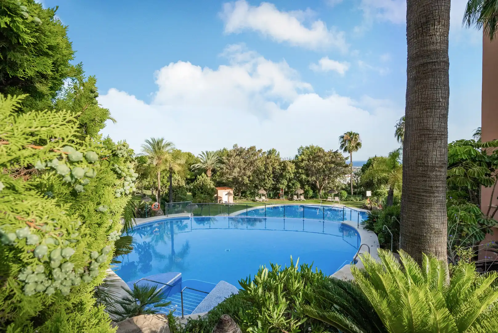 Apartament amb piscina en venda a Marbella Centro, imagen 38