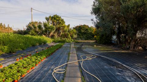 Photo 5 of Land for sale in Poligono Industrial Els Garrofers, Zona Industrial i Agrícola, Vilassar de Mar
