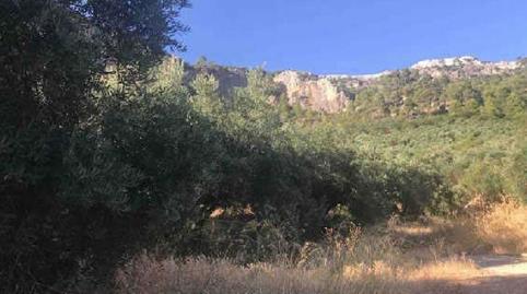 Foto 2 de Terreno en venta en N/a, Villanueva del Arzobispo, Jaén