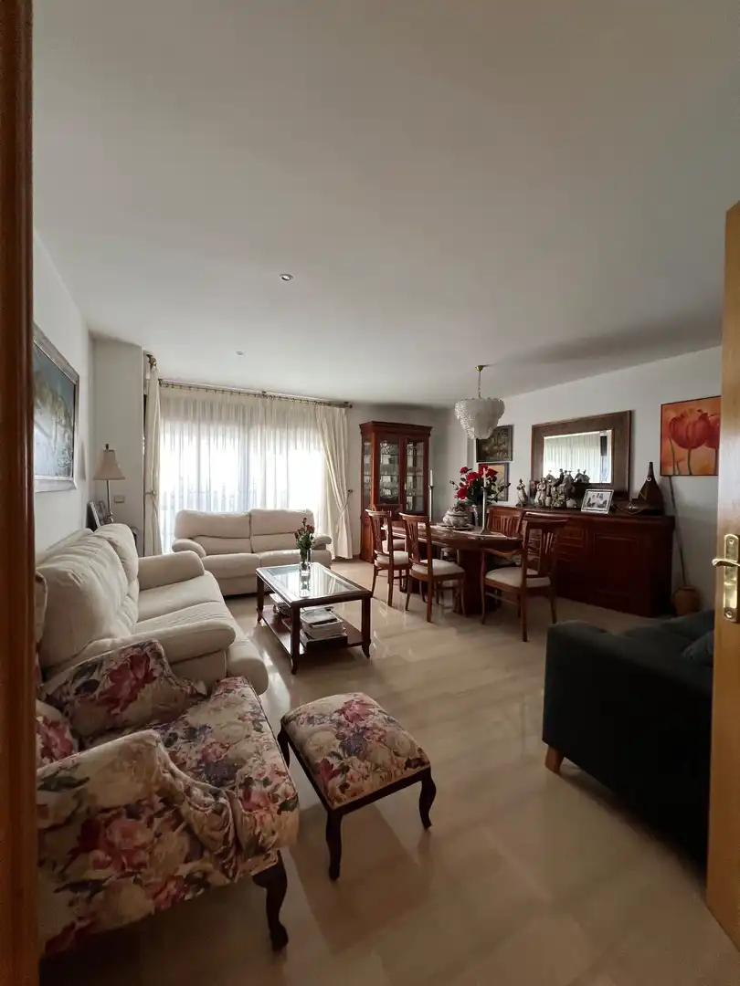 Sala d'estar de Pis en venda en Gandia