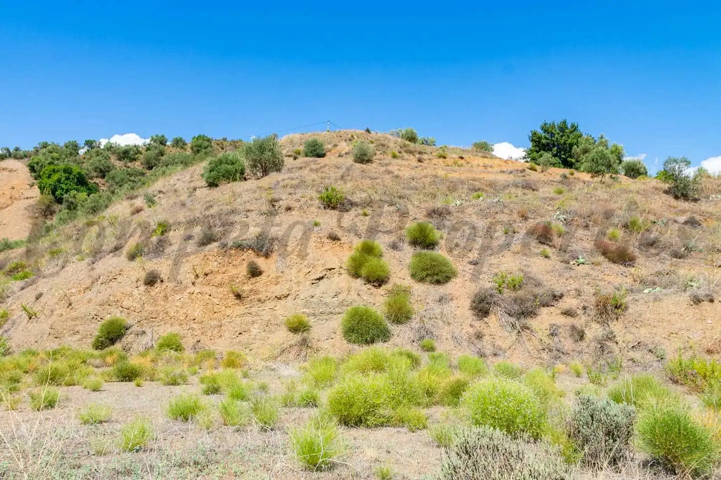 Terreny rústic en venda a Canillas de Albaida, imagen 4