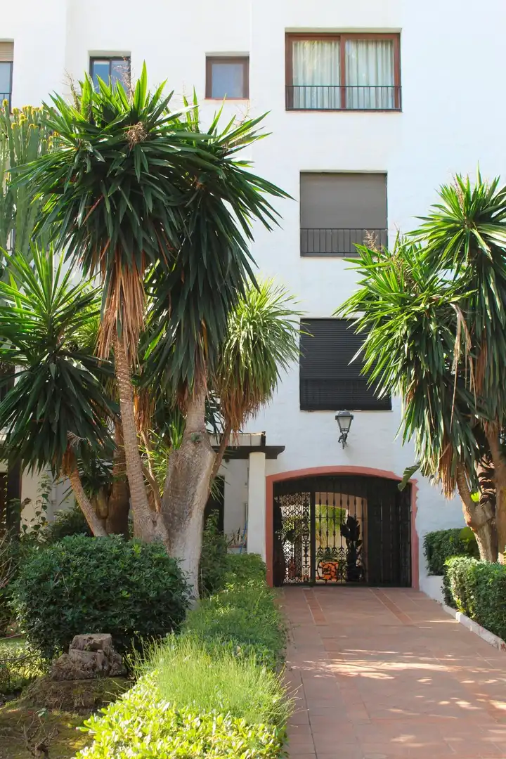Attique avec terrasse à vendre à Nueva Andalucía, imagen 15