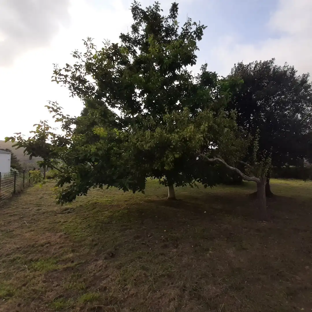 Detached house with garden for sale in CR VIVEIRO 5, imagen 25