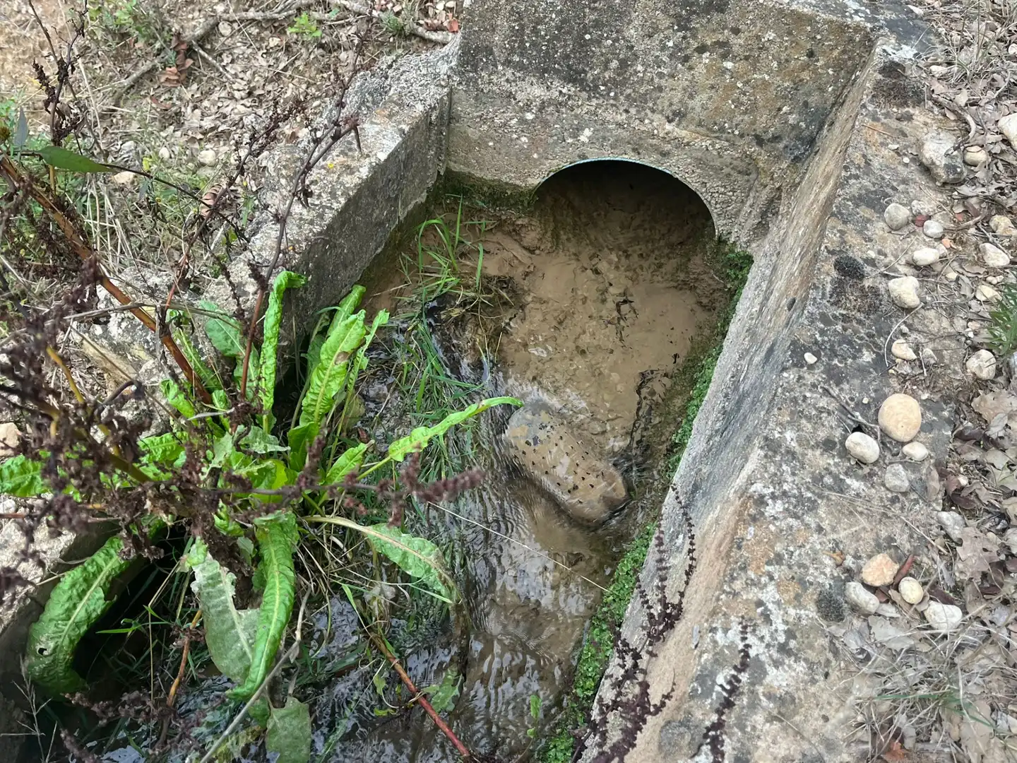 Terreni e lotti in vendita a Arens de Lledó, imagen 4