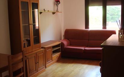 Living room of Flat for sale in Salamanca Capital  with Terrace and Balcony