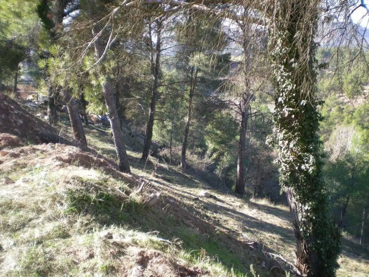 Terrenys i solars en venda a Castellnou de Bages, imagen 7