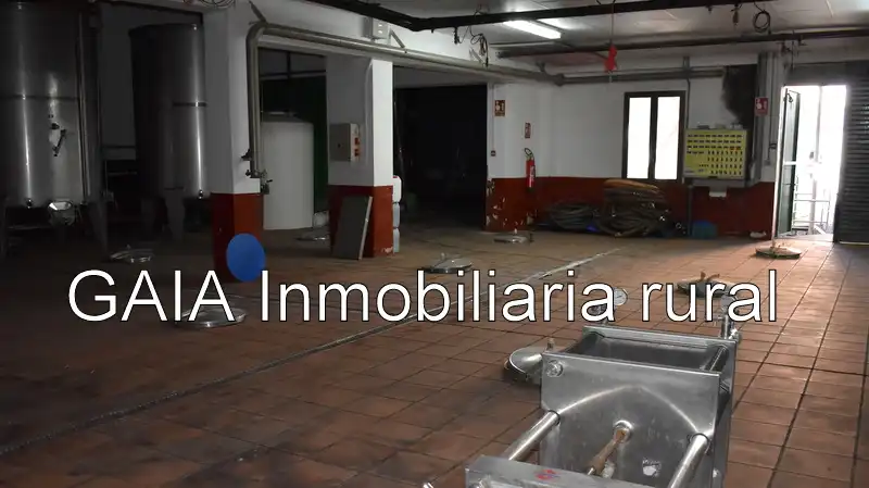 Adossat en venda a Maella, imagen 15