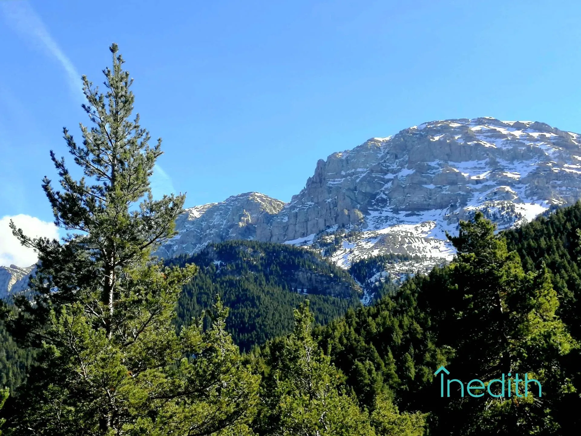 Vista exterior de Casa o chalet en venta en El Pont de Bar con Aire acondicionado, Jardín privado y Terraza