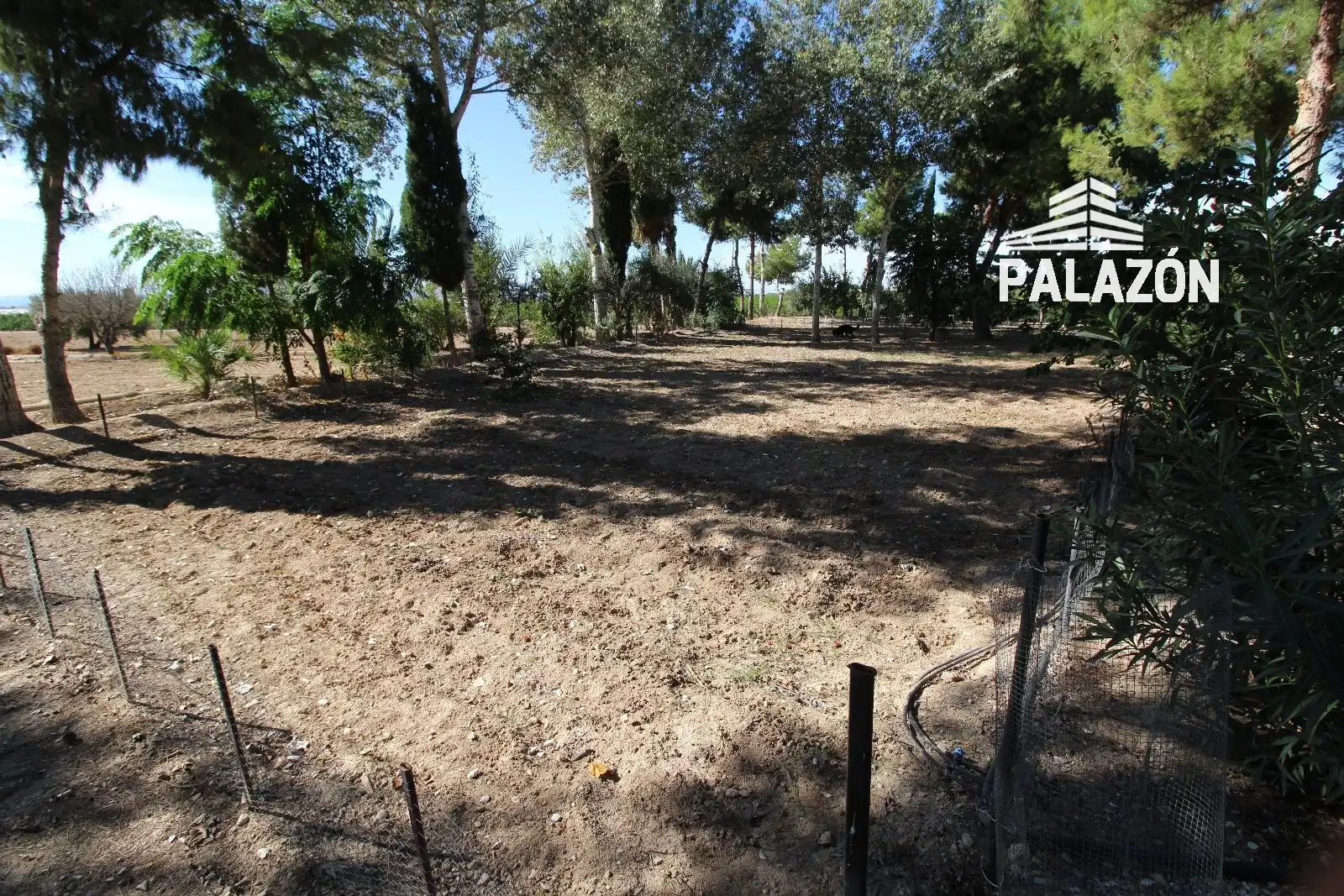 Xalet amb piscina en venda a Crevillent, imagen 12
