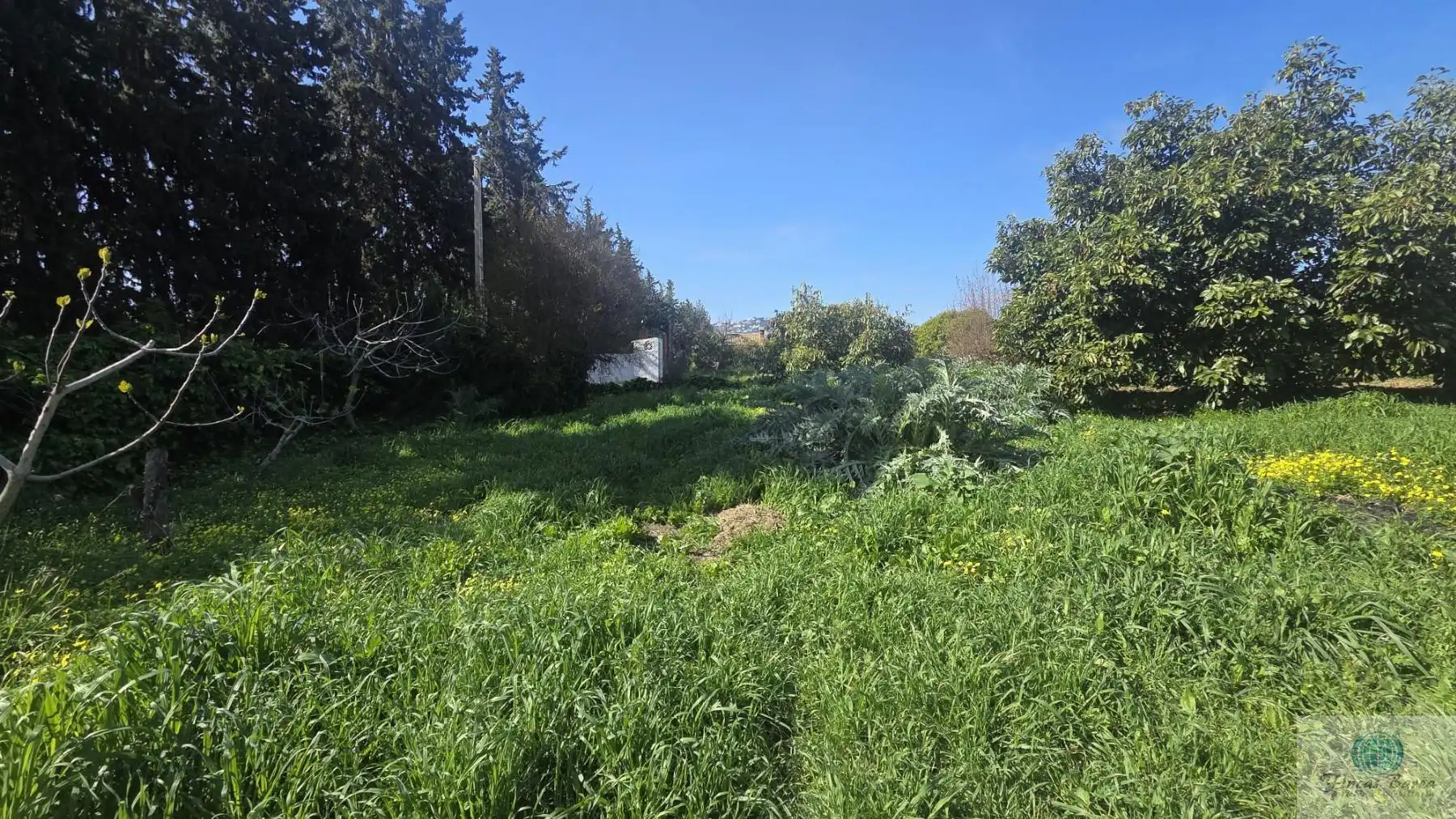 Casa rustica in vendita a Valtocado - La Alquería - La Atalaya, imagen 12