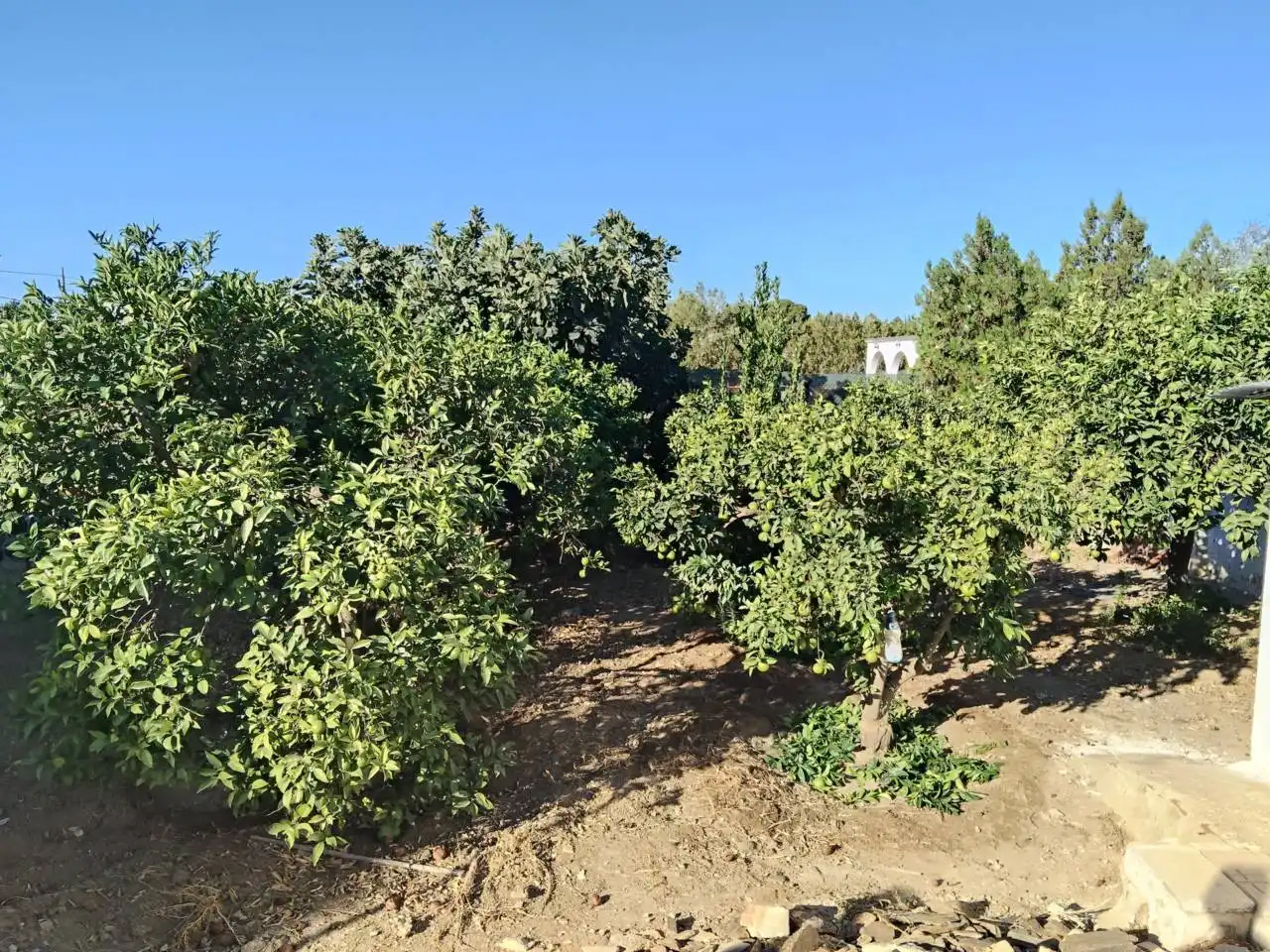 Villa avec piscine à vendre à Urbanizacion Pradollano, imagen 19