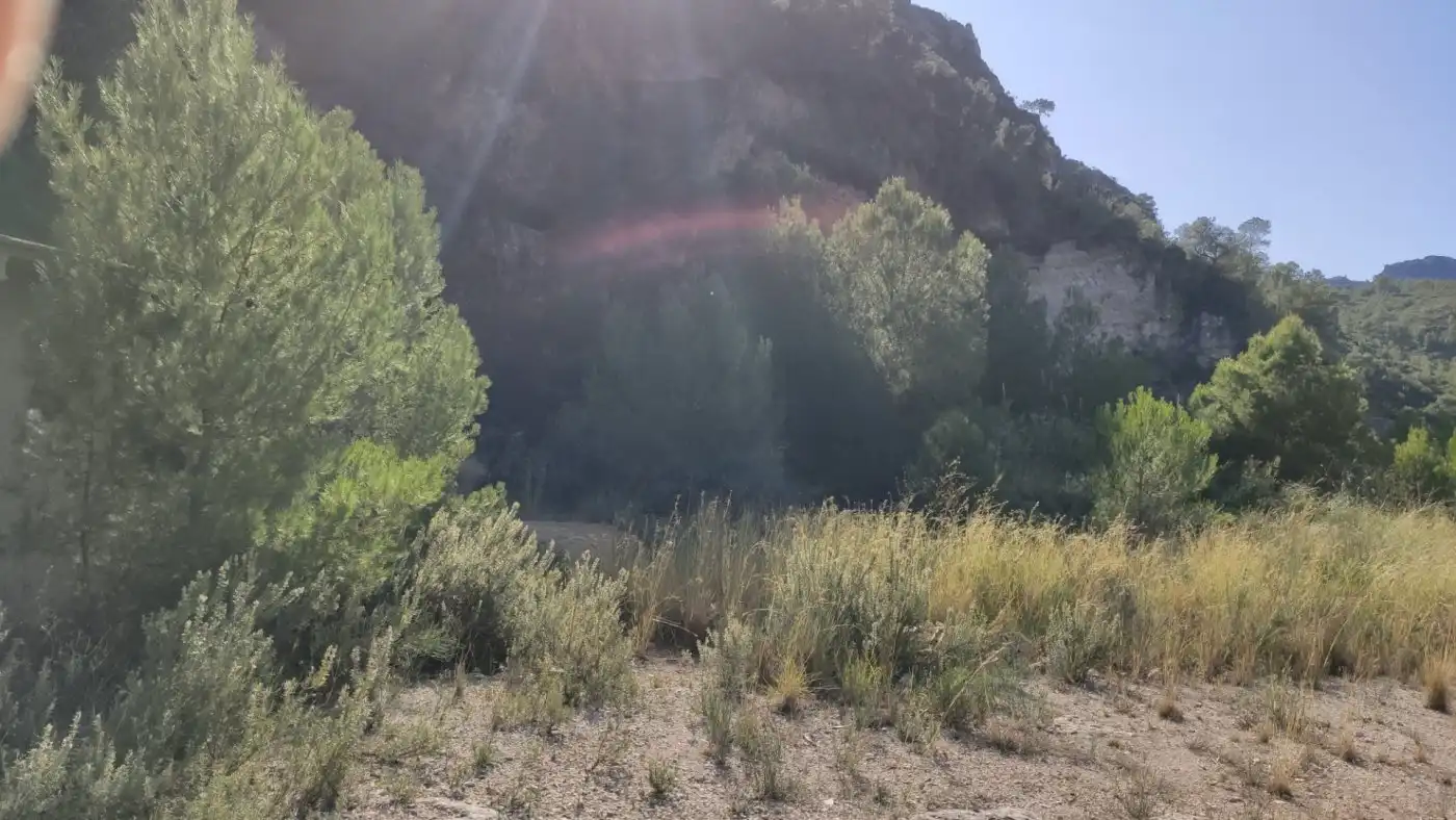 Finca rústica en venta en L'Atzúbia