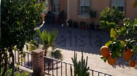 Foto 3 de Finca rústica en venta en Alcolea, Córdoba Capital