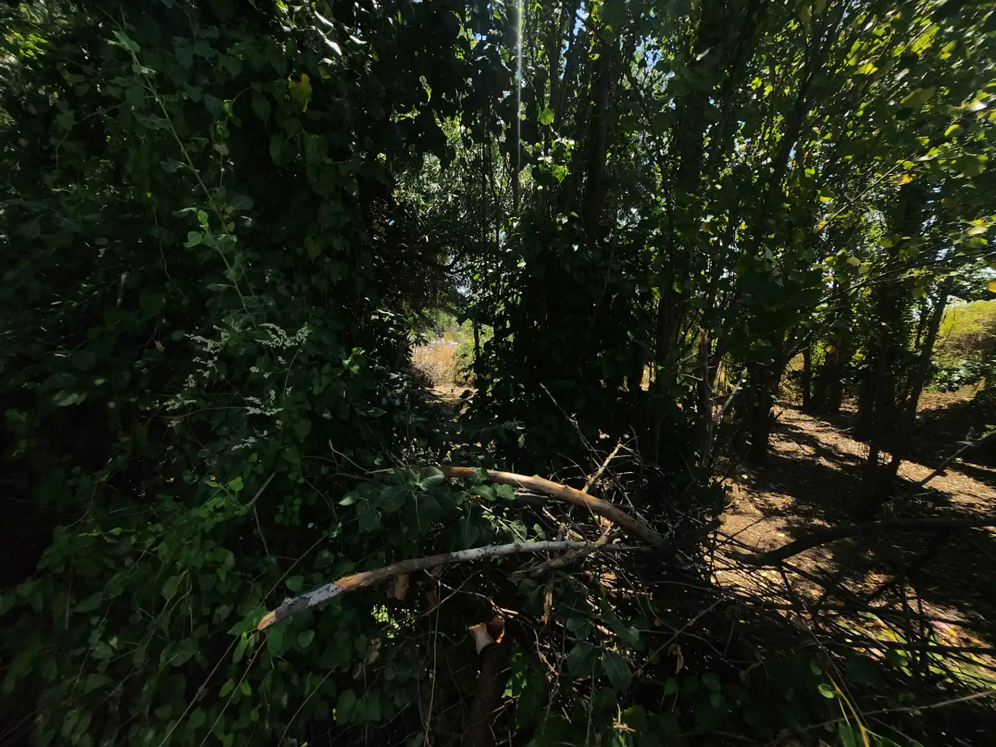 Terreno residenziale in vendita a Marchamalo, imagen 60