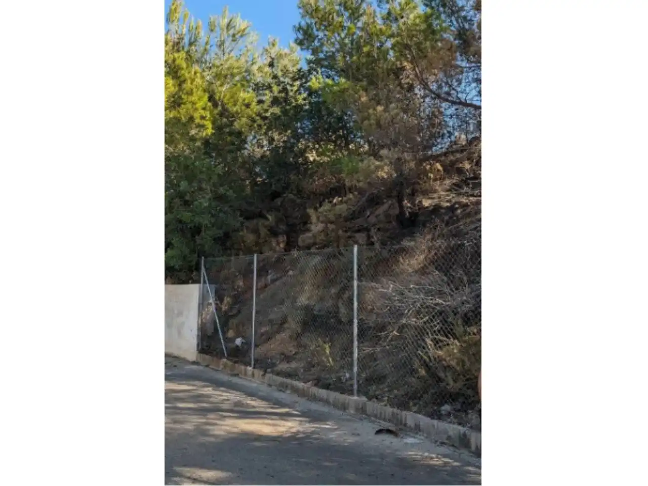 Terreno residencial en venta en Calle Cedro 9, imagen 8