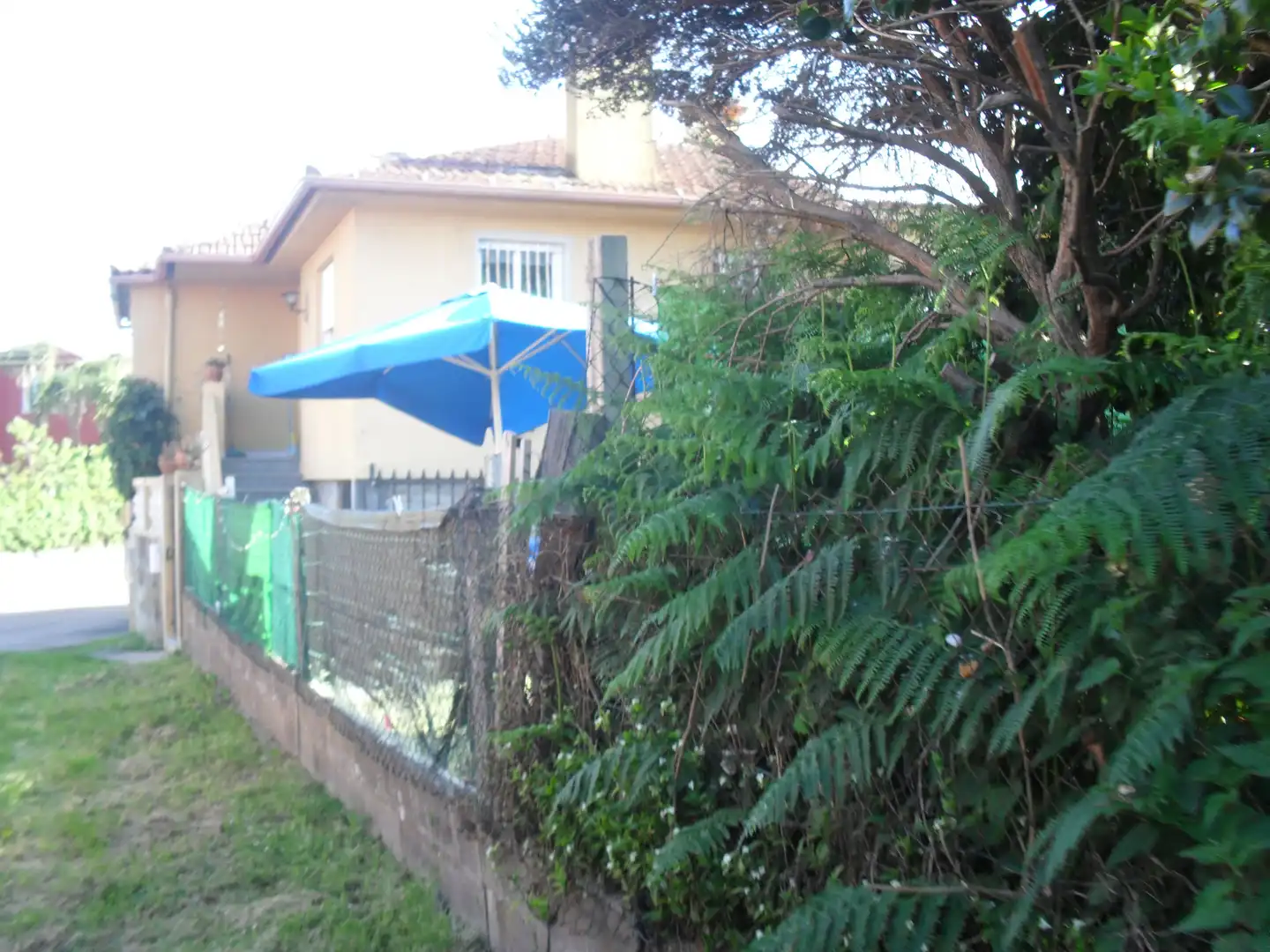 Jardín de Casa o chalet en venta en Vigo 