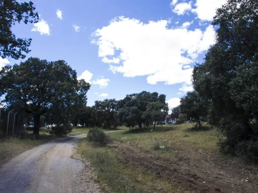 Finca rústica en venda en Navalcarnero