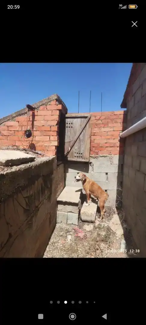 Vista exterior de Casa o xalet en venda en La Puebla de Valverde amb Jardí privat i Traster