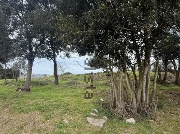 Wohnbaugrundstück zum Verkauf in Meruelo