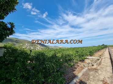 Rural land for sale in Pego