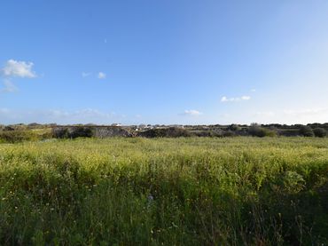 Terreny industrial en venda a Ciutadella