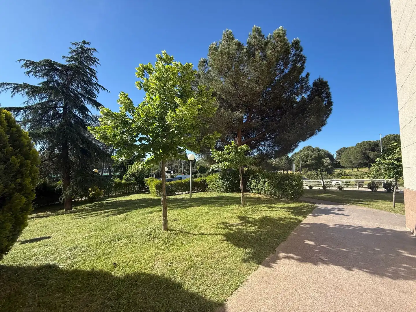 Jardí de Local en venda en Boadilla del Monte