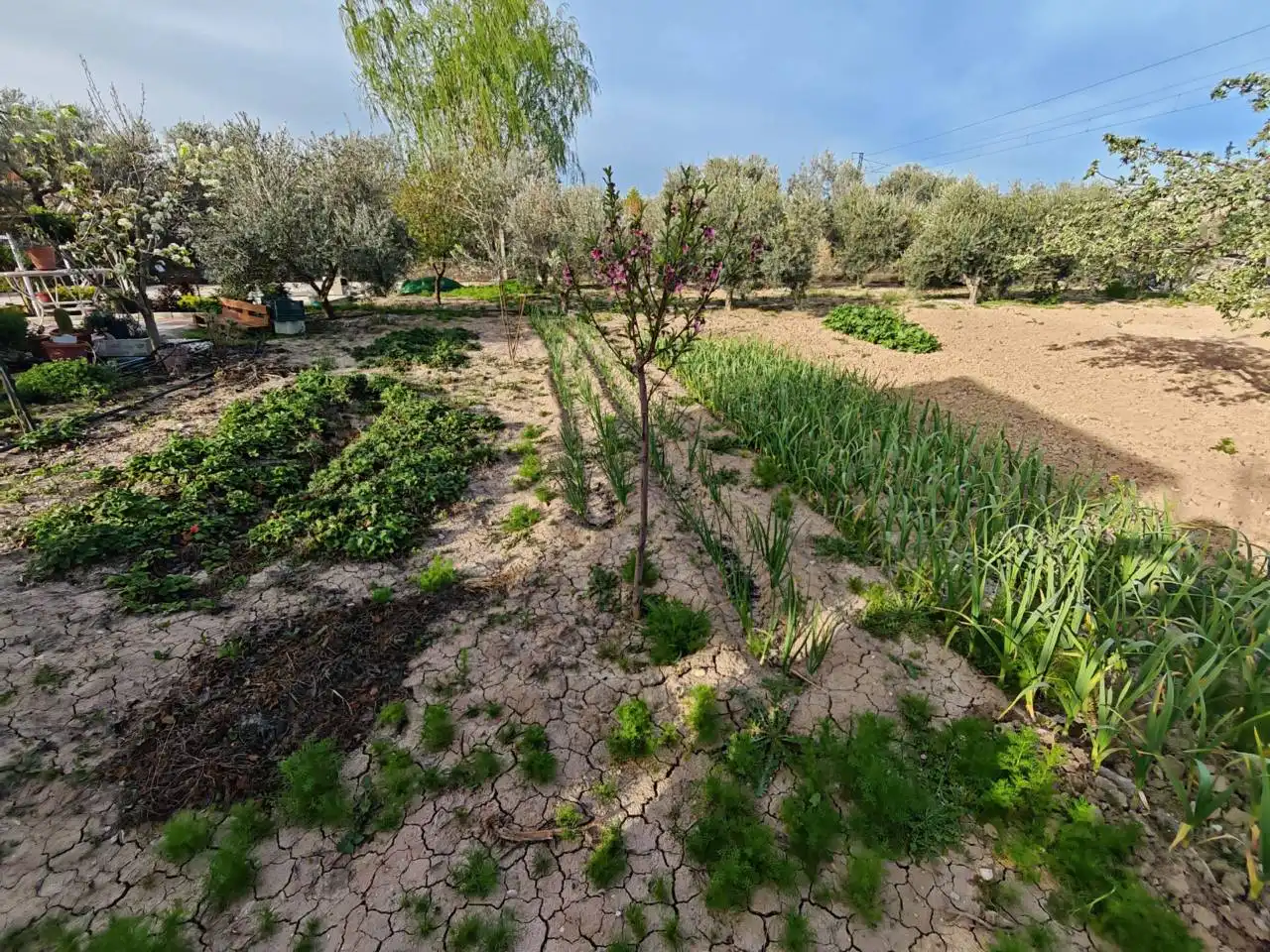 Terreni e lotti in vendita a Huétor Tájar, imagen 18