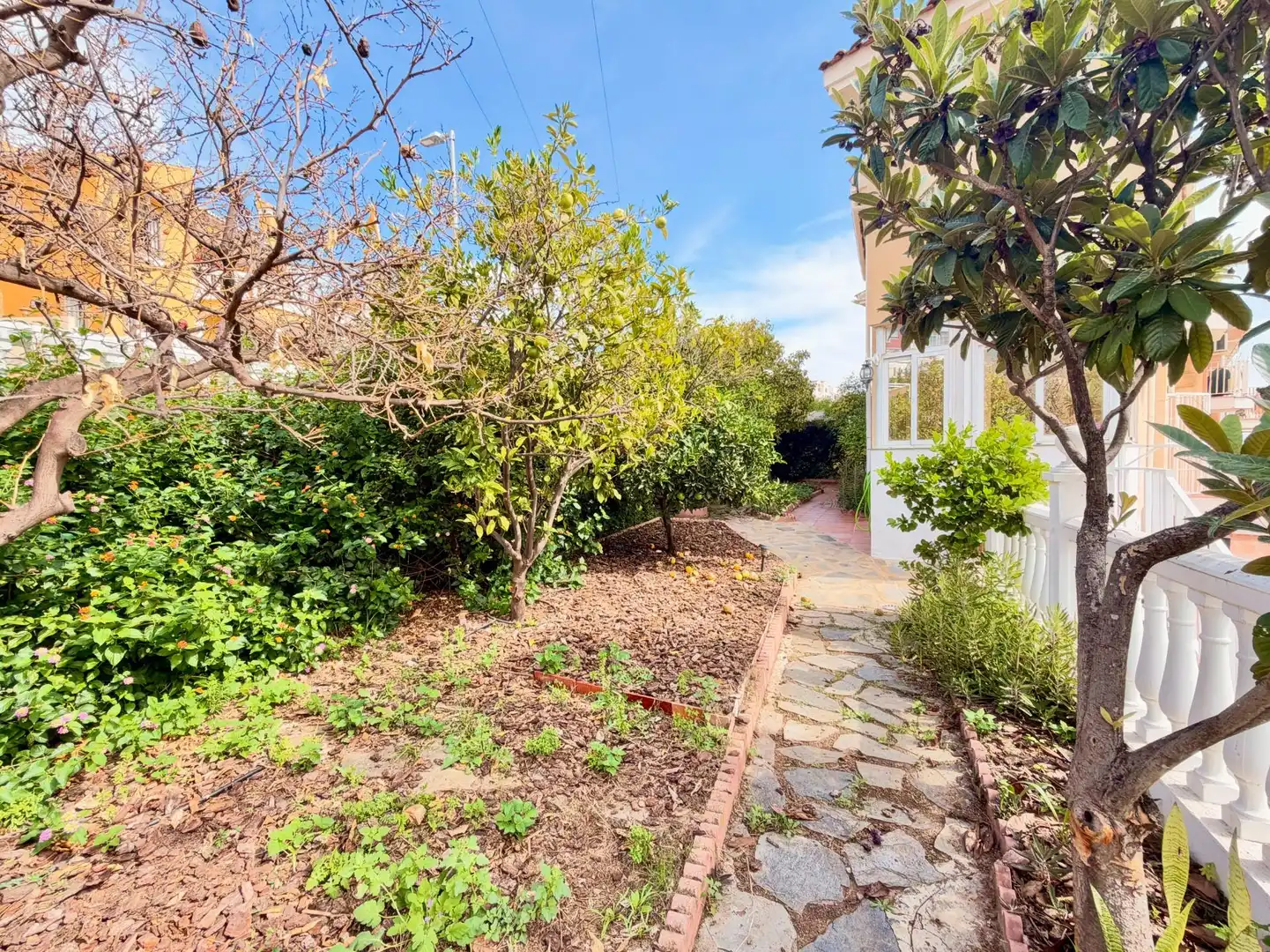 Garden of Detached homes for rent in Montealto - Monterrey