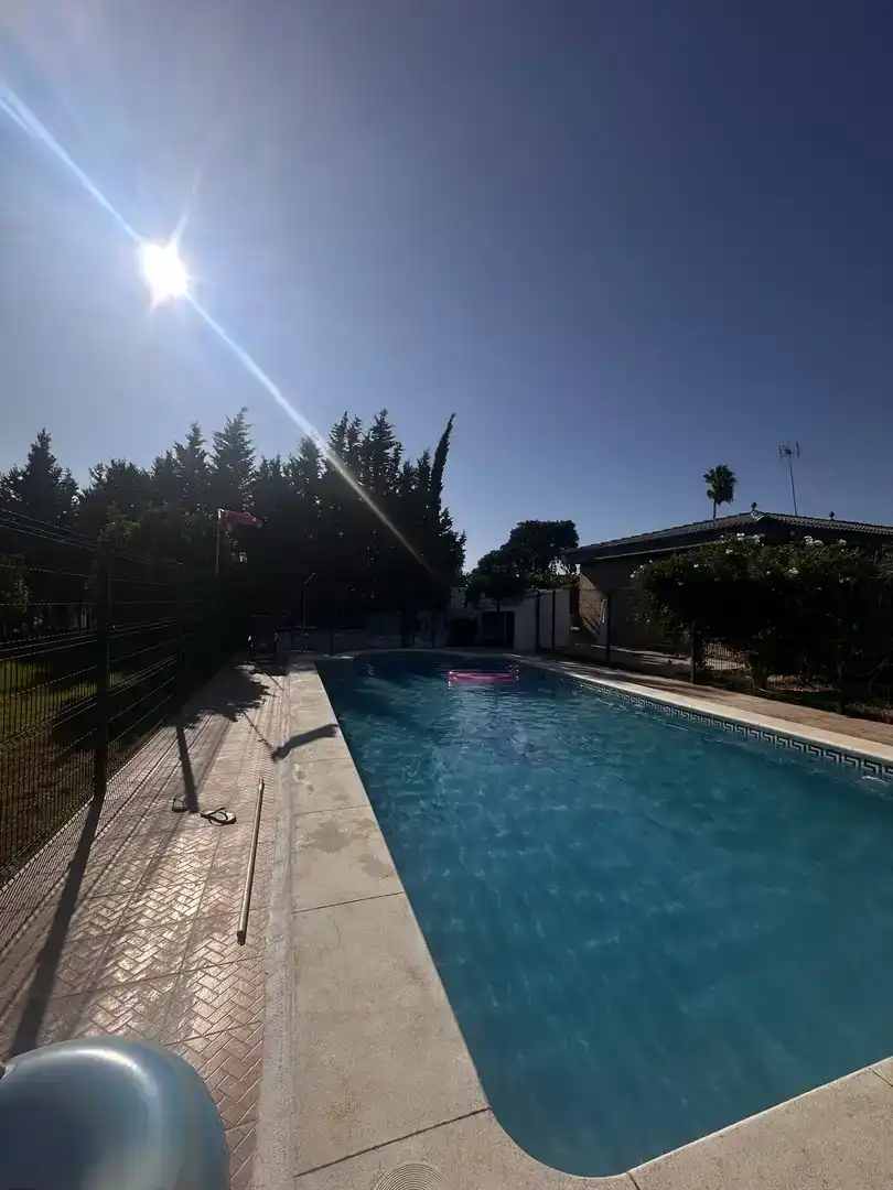 Swimming pool of Country homes for rent in Punta Umbría, Huelva