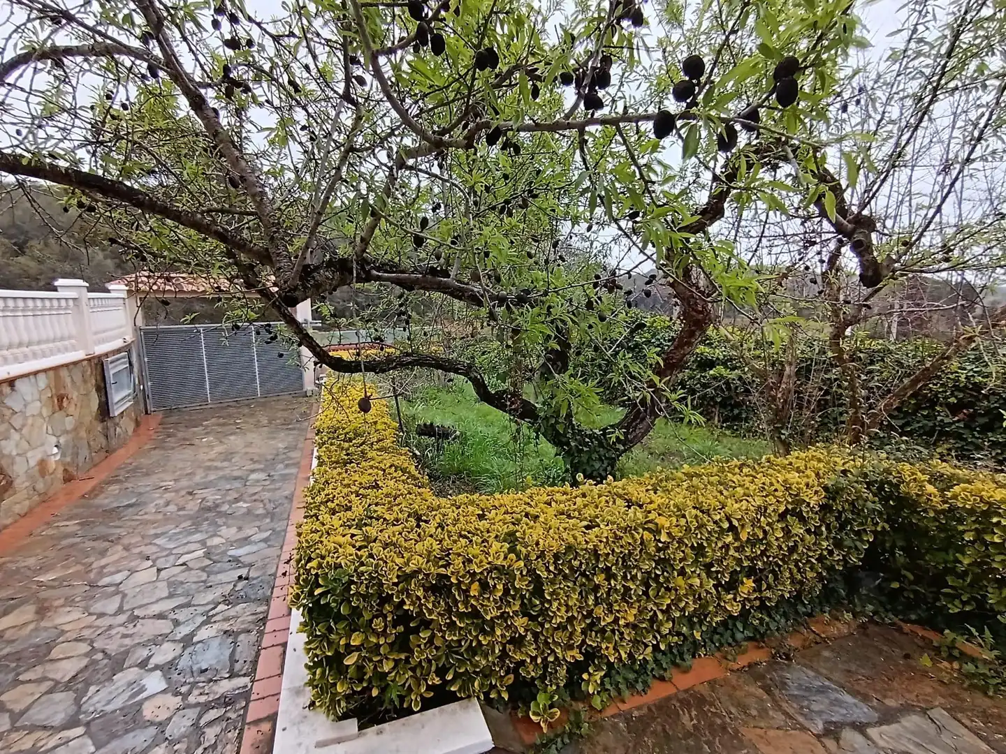 Casa o chalet en venta en Olèrdola