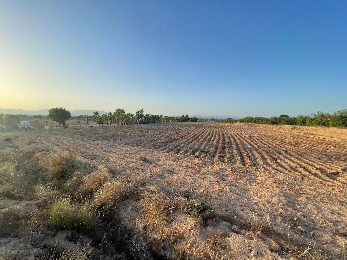 Terrain rustique à vendre à La Foia - Daimés - Asprella, imagen 7
