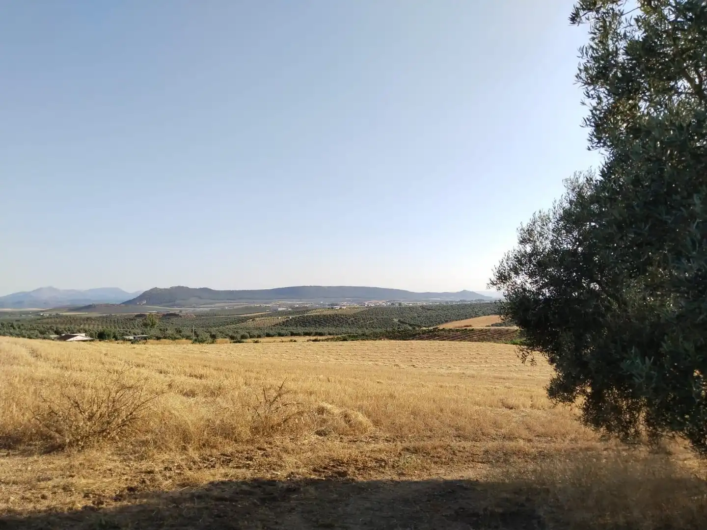 Terreni e lotti in vendita a Mollina, imagen 27