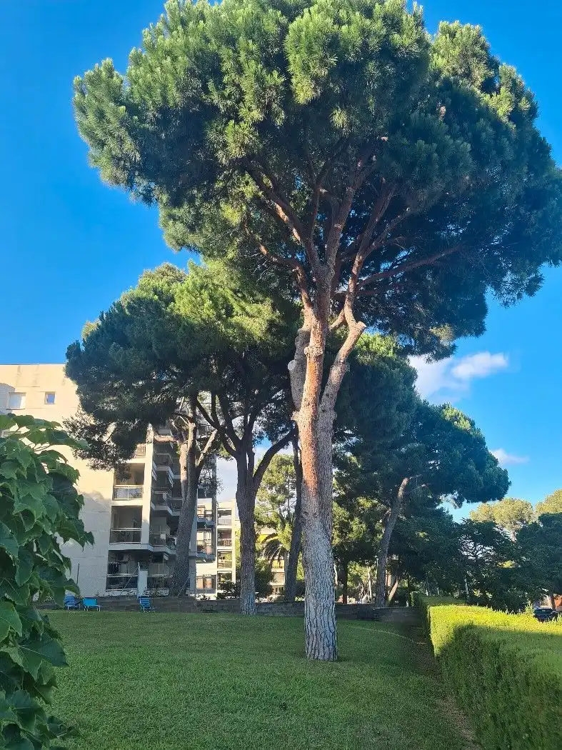Apartment with pool for sale in Mar i Camp - Platja dels Capellans, imagen 91