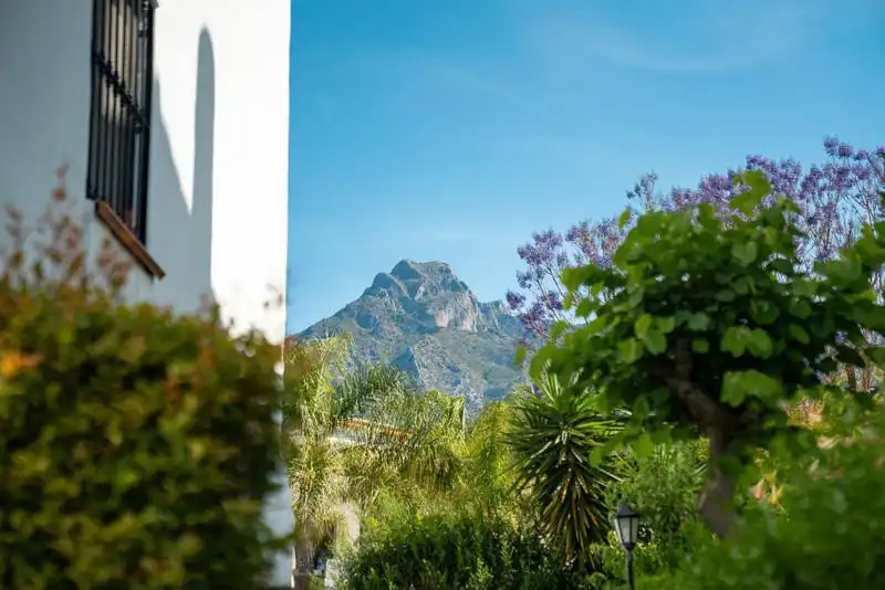 Garden of Detached homes for rent in Marbella  with Air Conditioner, Heating and Private garden