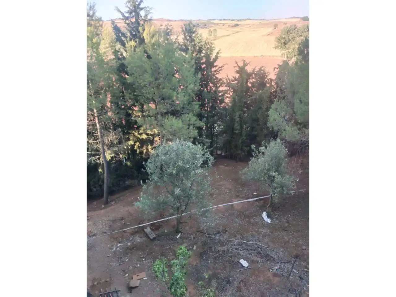 Finca rústica en venda en Alhambra amb Aire condicionat, Jardí privat i Terrassa