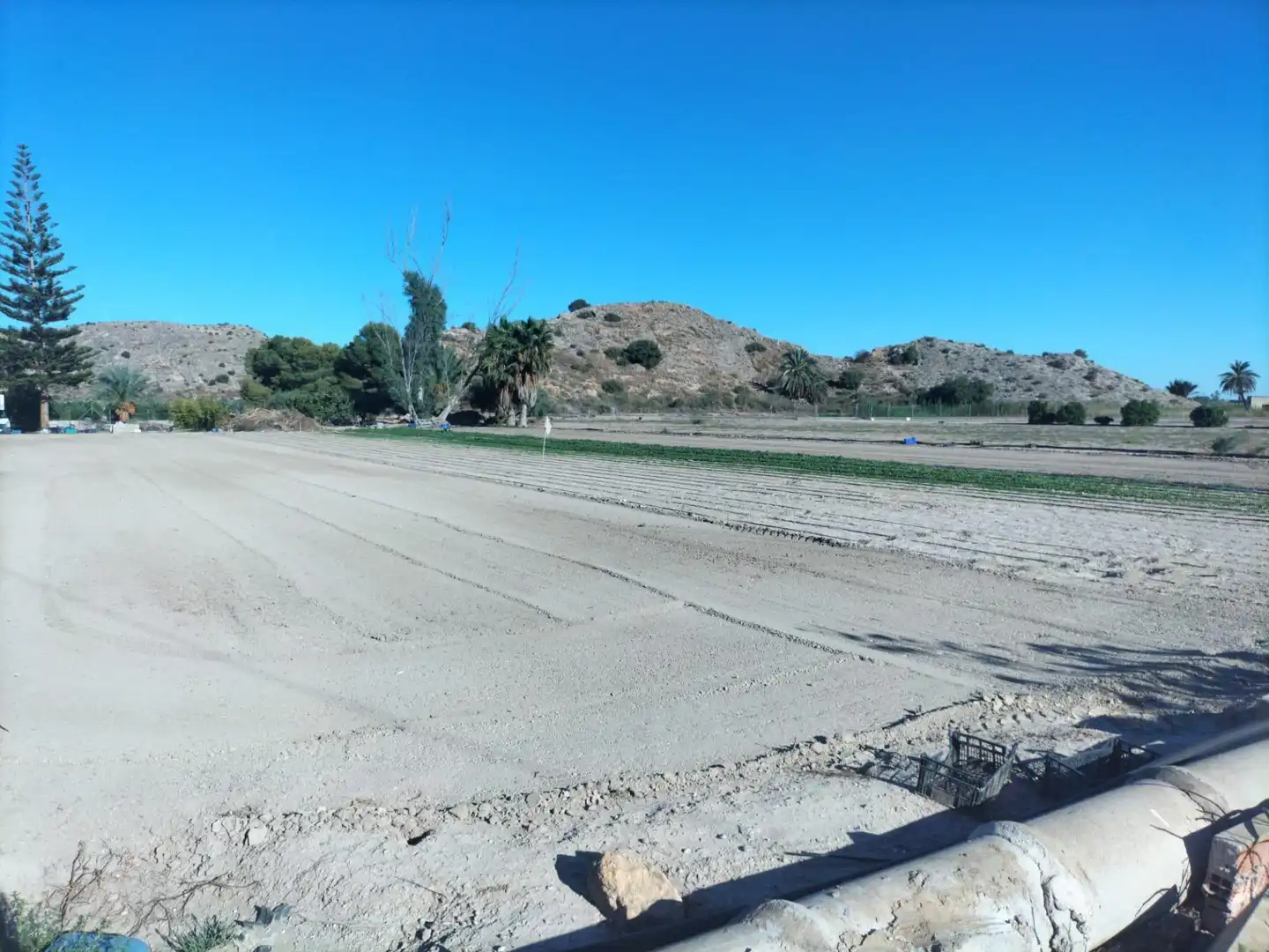 Casa rústica en venda a Granja de Rocamora, imagen 31