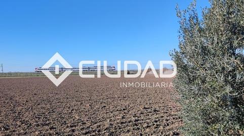 Photo 4 of Land for sale in Lebrija, Sevilla