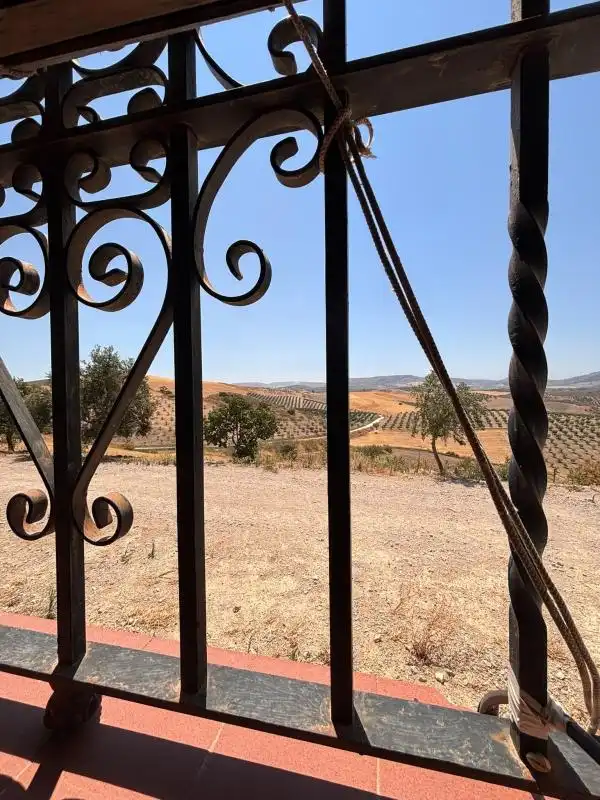 Jardí de Finca rústica en venda en El Saucejo amb Aire condicionat, Calefacció i Moblat