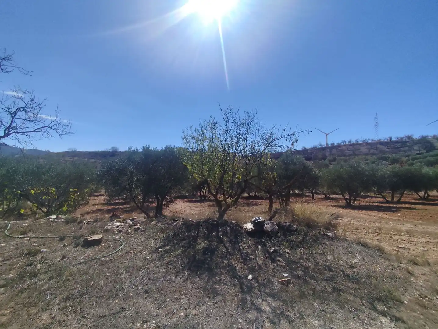 Landhaus zum Verkauf in LA VENTA DE  NIGUELAS S/N, imagen 16
