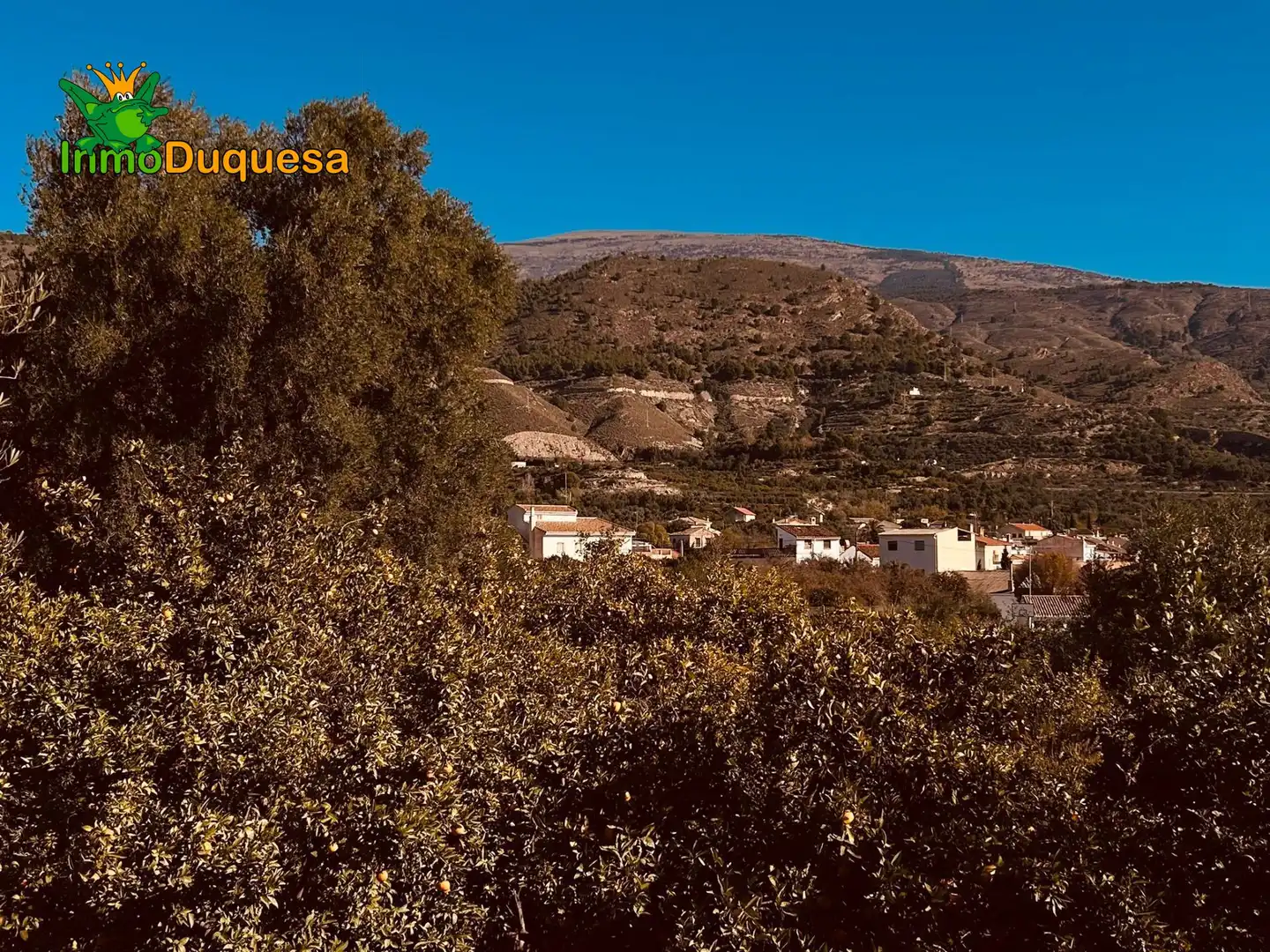 Country homes for sale in Calle Polígono 4 Parcela 16 HUERTA CAIBA. LECRIN (, 4, Lecrín