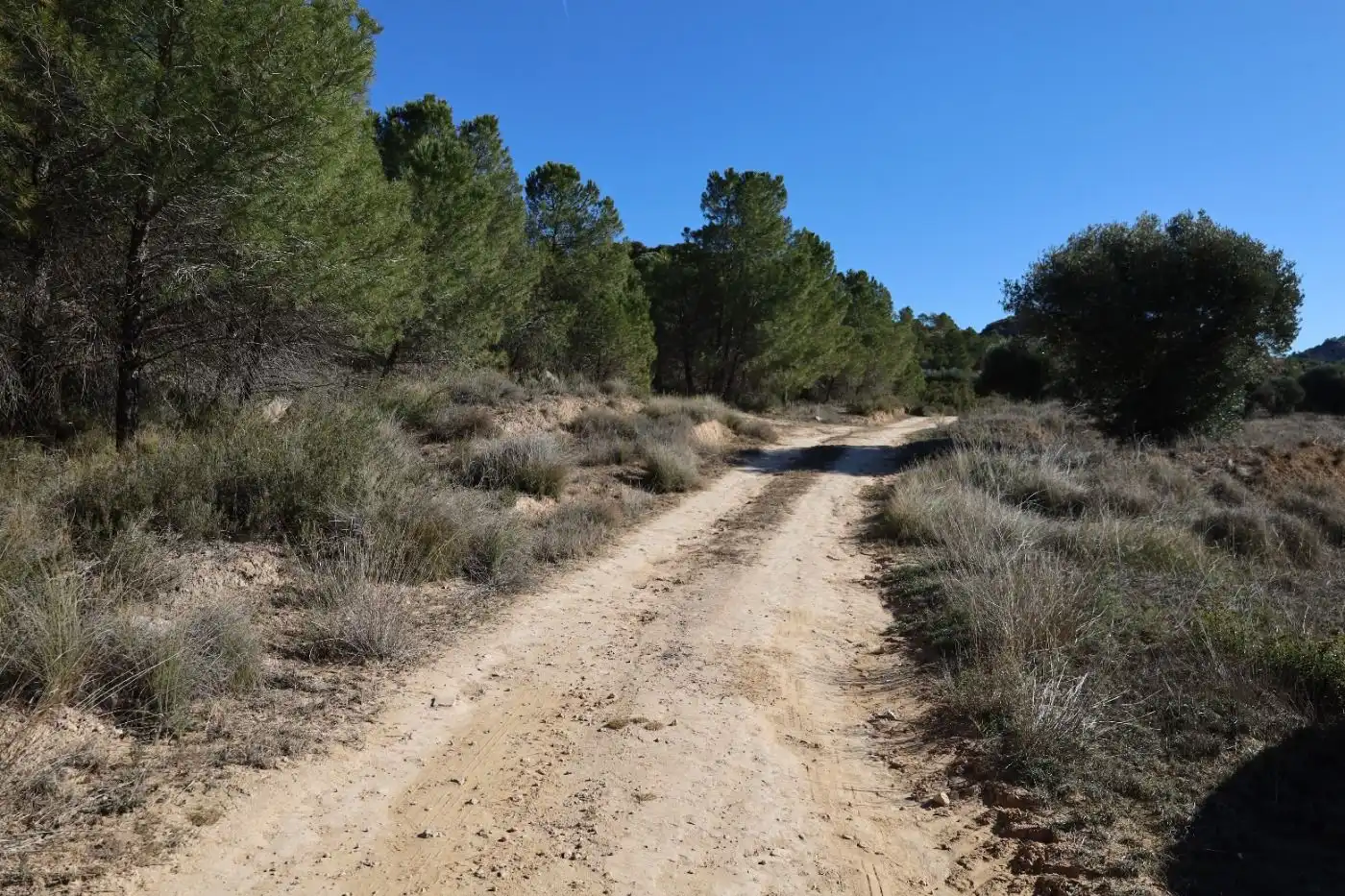 Terreni e lotti in vendita a Camino Carretera castelseras, imagen 16